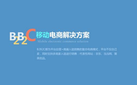 B2B电商APP开发1